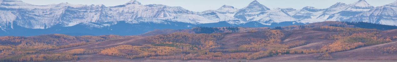 SP site header image (Home Page Link)